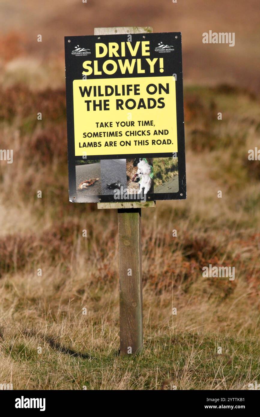 Cartello che richiede agli automobilisti di guidare lentamente a causa della fauna selvatica sulle strade, Lammermuir Hills, Scozia, Regno Unito. Foto Stock