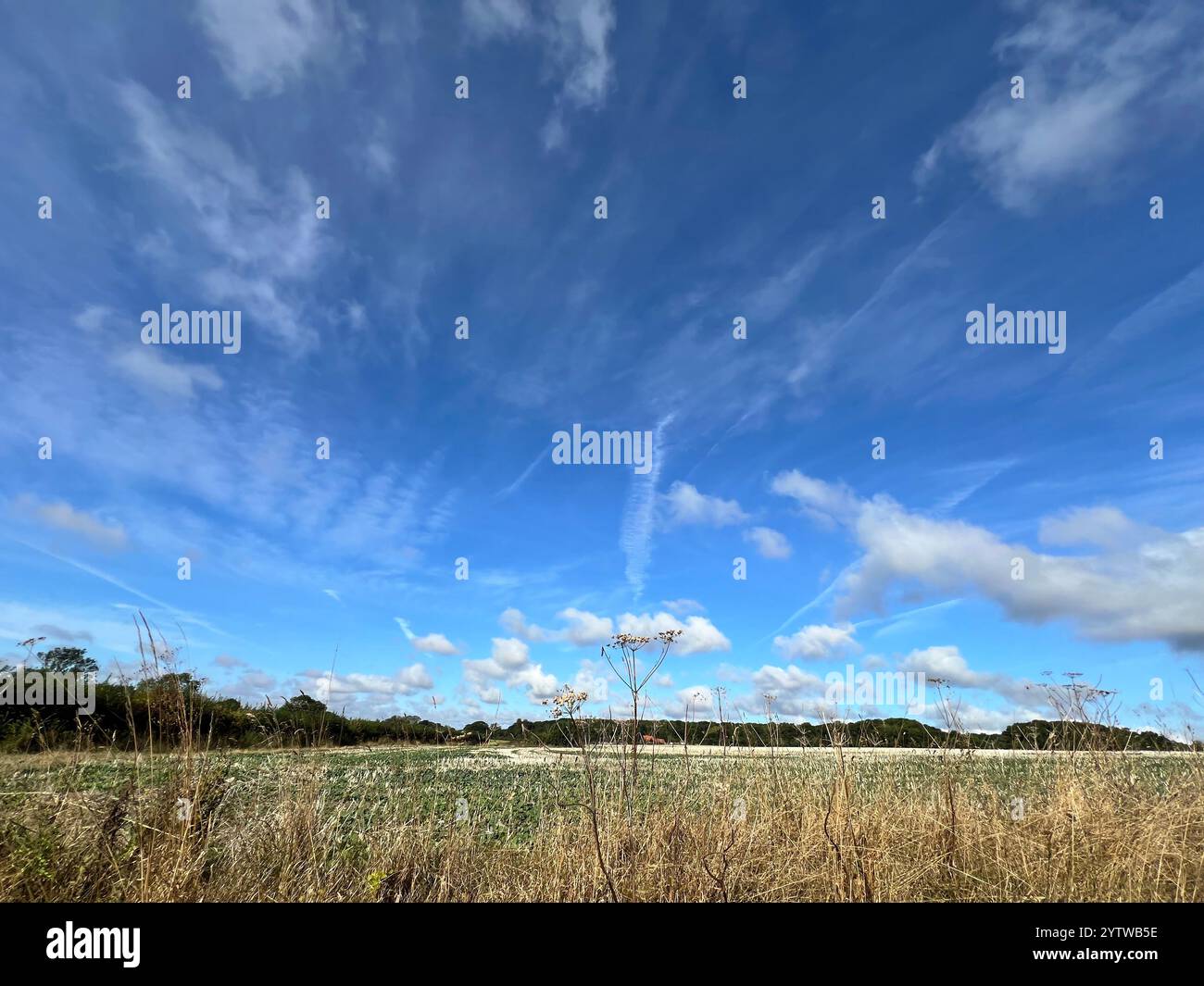 Una fotografia paesaggistica del Norfolk meridionale rurale scattata in una giornata di sole. Foto Stock