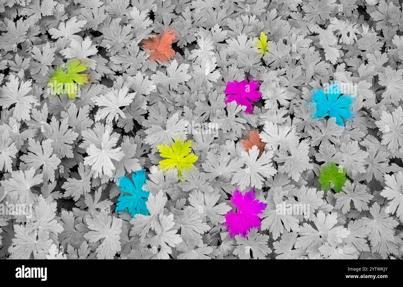 In piedi fuori dalla folla Foto Stock