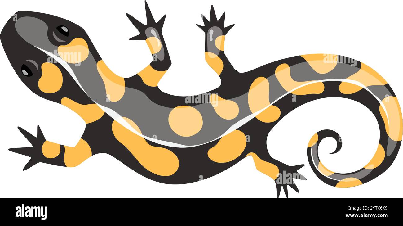 Illustrazione colorata di una salamandra del fuoco sdraiata, che mostra i suoi vivaci macchie o strisce gialle su sfondo nero, evidenziando il motivo unico anfibio Illustrazione Vettoriale
