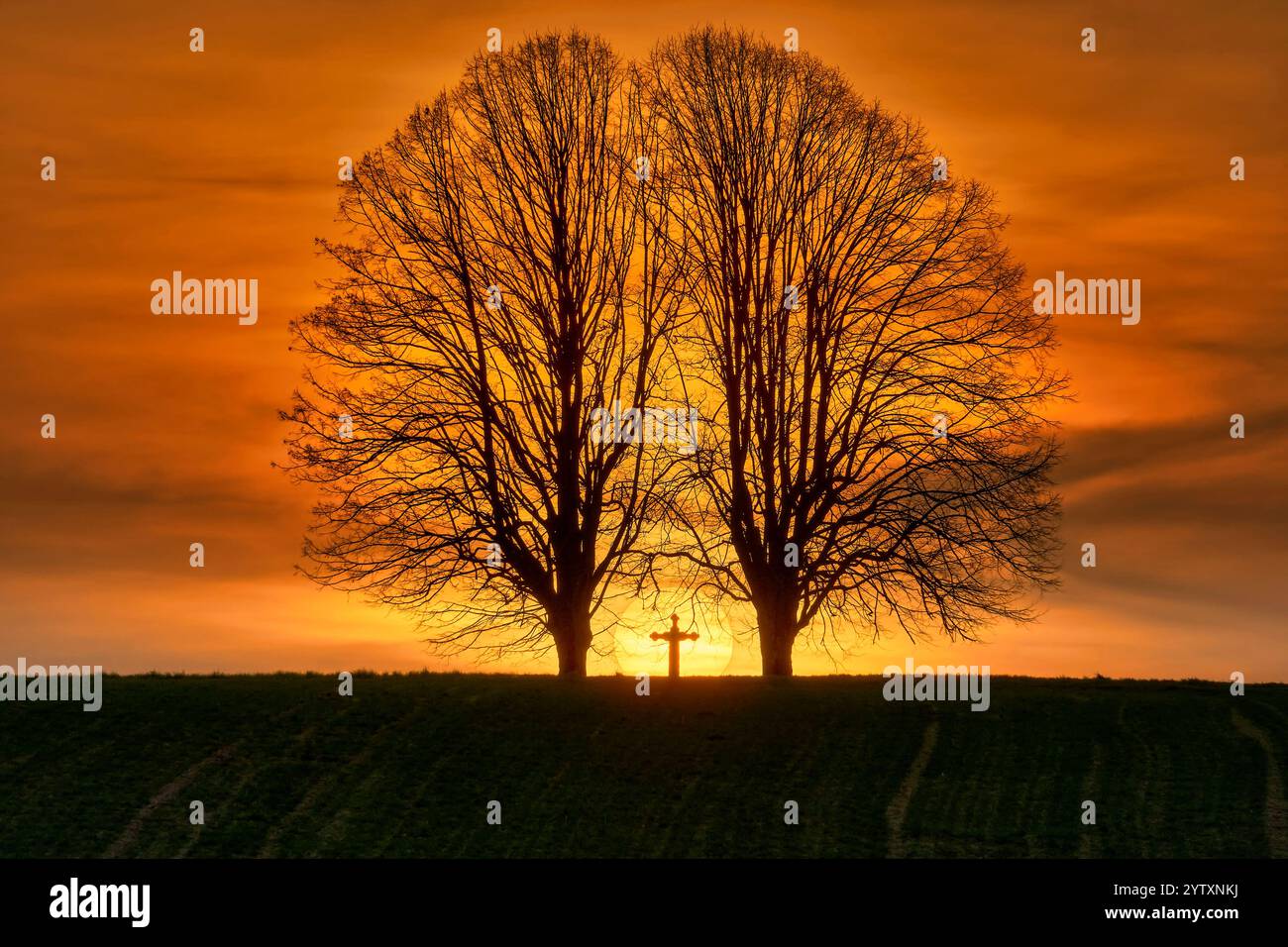 Svizzera, Laufental, Brislach, Baselland, Baselbiet, Brislach BL, Schällhüsli, atmosfera serale, tramonto, alberi di tiglio, due alberi di tiglio, alberi di tiglio incrociati, Foto Stock