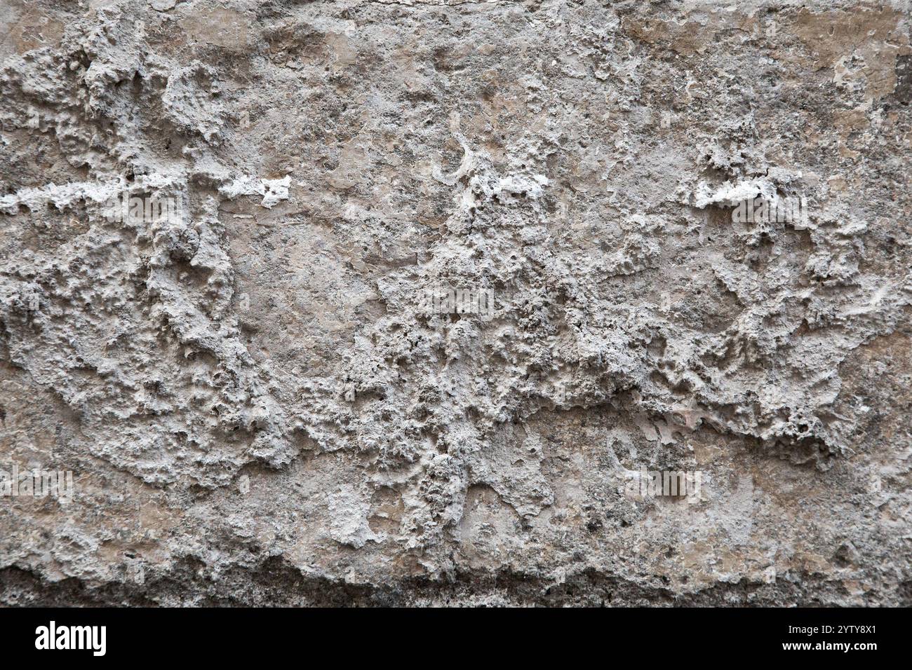 Vista ravvicinata di una struttura rocciosa con numerosi fori Foto Stock