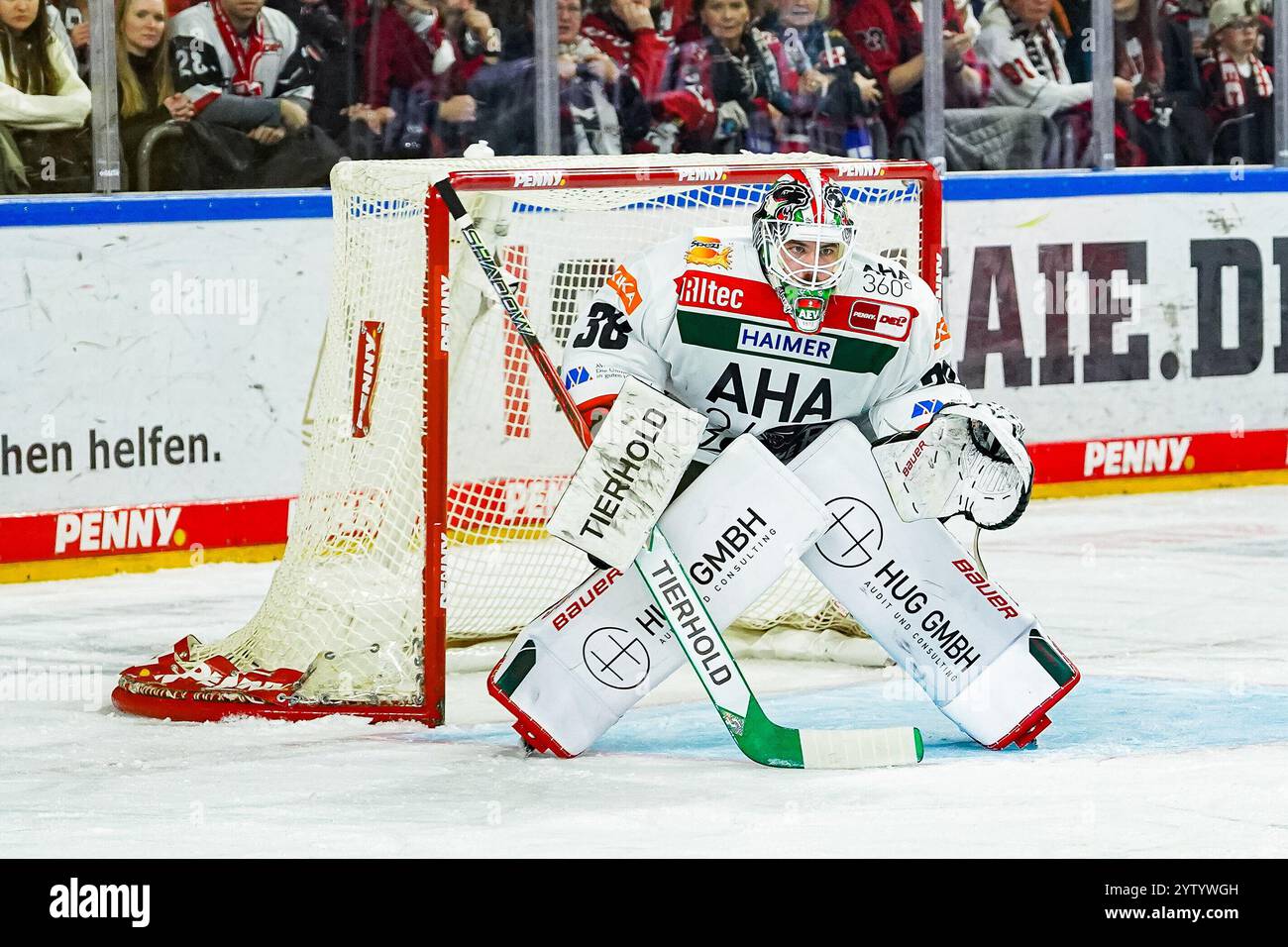 Germania. 8 dicembre 2024. Eishockey Penny-DEL 24.Spieltag Koelner Haie - Augsburger Panther am 08.12.2024 in der Lanxess Arena a Koeln Strauss Mann ( Augusta ) Gemaess den Vorgaben der DEL Deutsche Eishockey Liga ist die Publikation und Weiterverwertung der Aufnahmen in elektronischen Medien und Endgeraeten aller Art waehrend des laufenden Spinicht. Foto: Revierfoto credito: ddp media GmbH/Alamy Live News Foto Stock