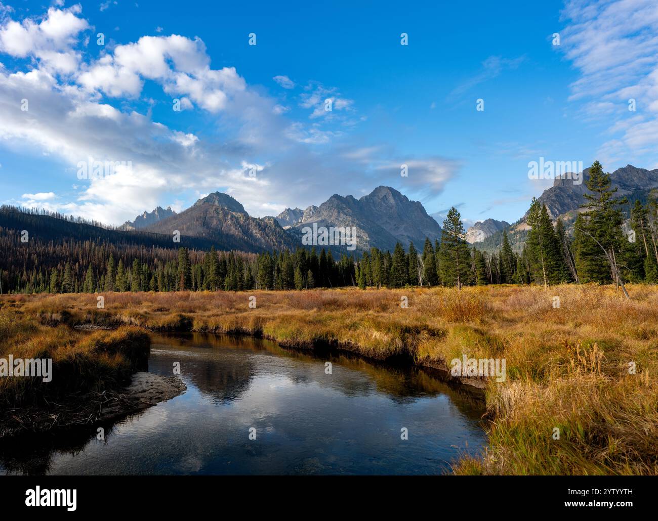 Prato con erba e montagne di colore giallo Foto Stock