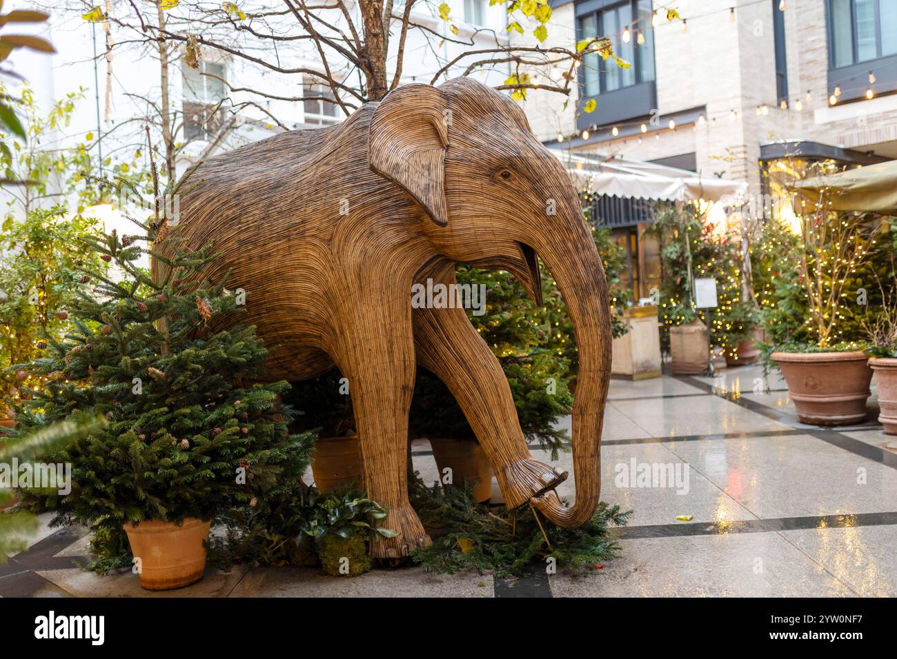 Londra, Regno Unito - 1° dicembre 2024, Floral Court tra Floral Street e King Street, una scultura di un elefante fatta di fibre vegetali essiccate, vicino a Covent Foto Stock