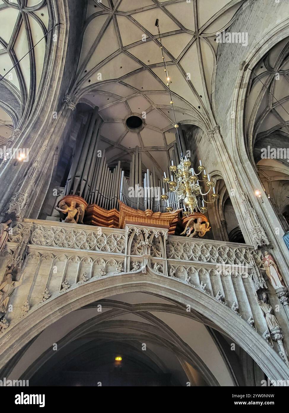 Interno gotico della cattedrale con ornato organo a canne e architettura in pietra - Immagine stock catturata con smartphone
