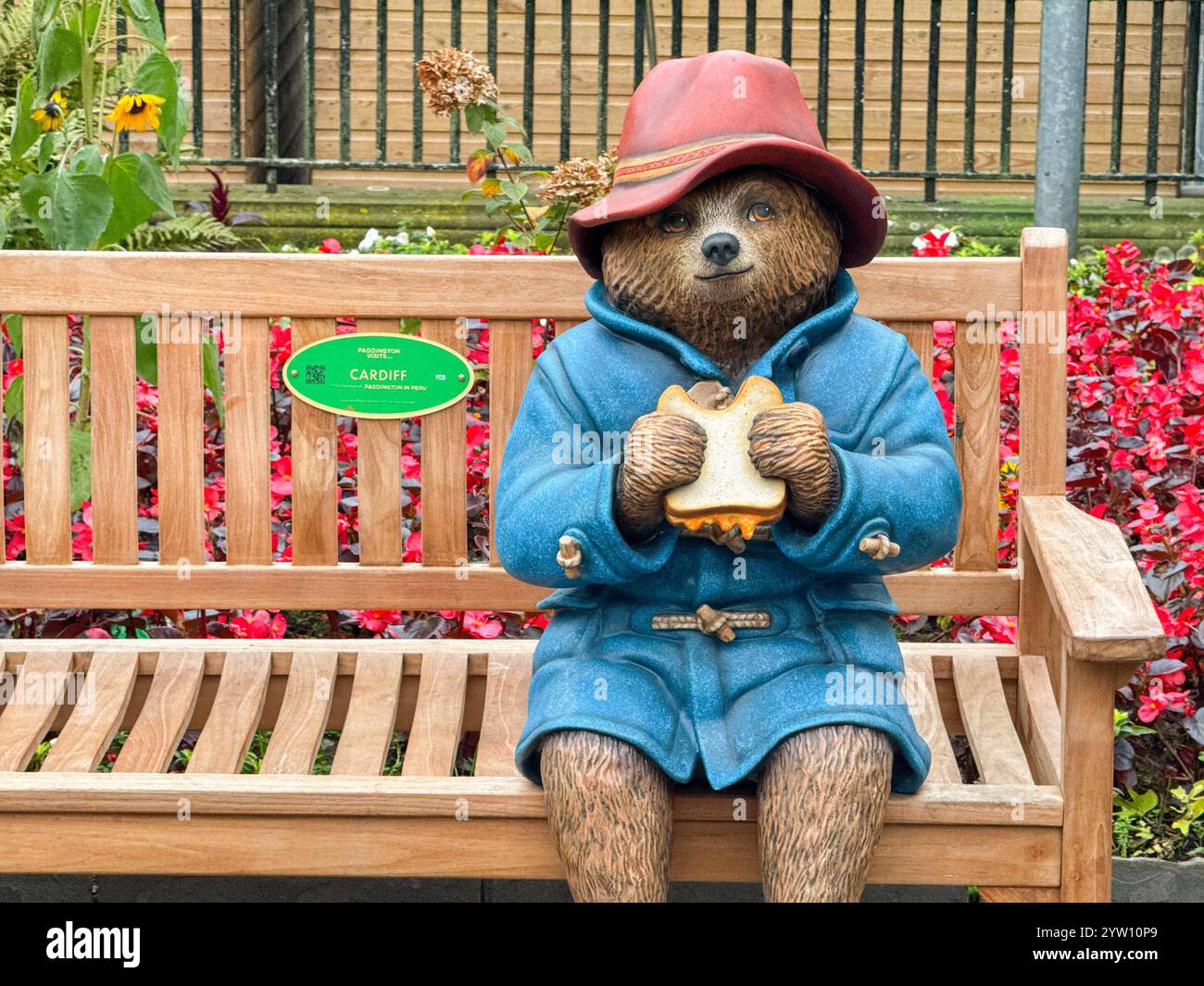 Cardiff, Galles - 10 novembre 2024: Modello di orso Paddington seduto su una panchina di legno in un parco pubblico nel centro di Cardiff - Immagine stock catturata con smartphone