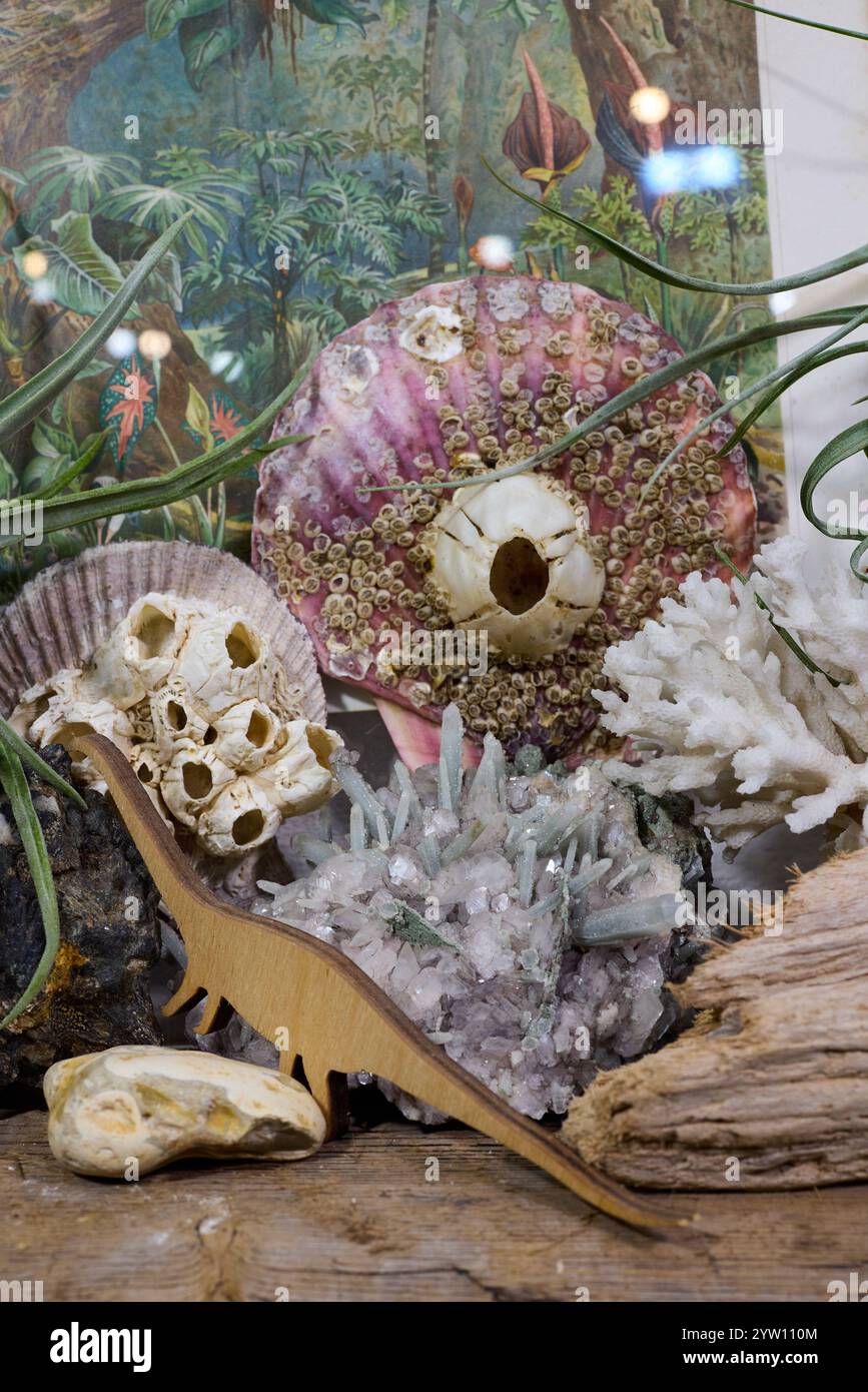 Uno splendido modello di dinosauro si trova con orgoglio in mezzo a una serie di fossili e conchiglie marine squisiti Foto Stock
