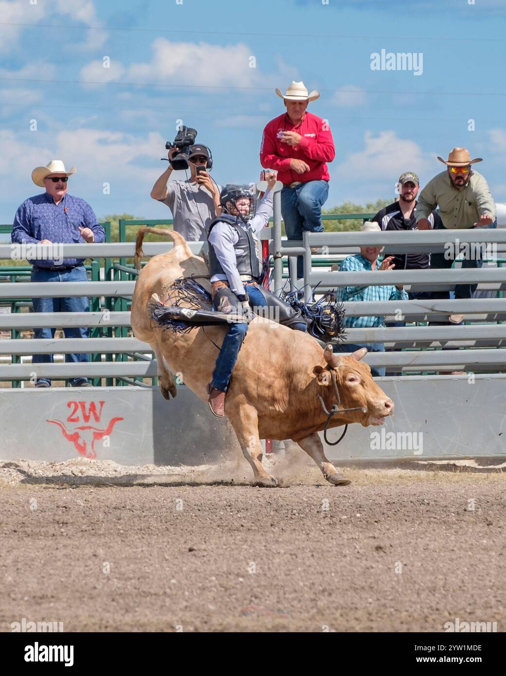 Gara di Bull riding al Manitoba Stampede Foto Stock