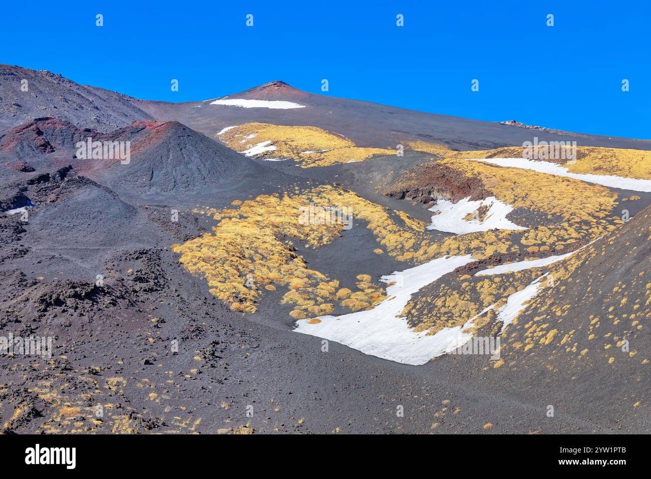 Parco Nazionale dell'Etna, Etna, Sicilia, Italia Foto Stock