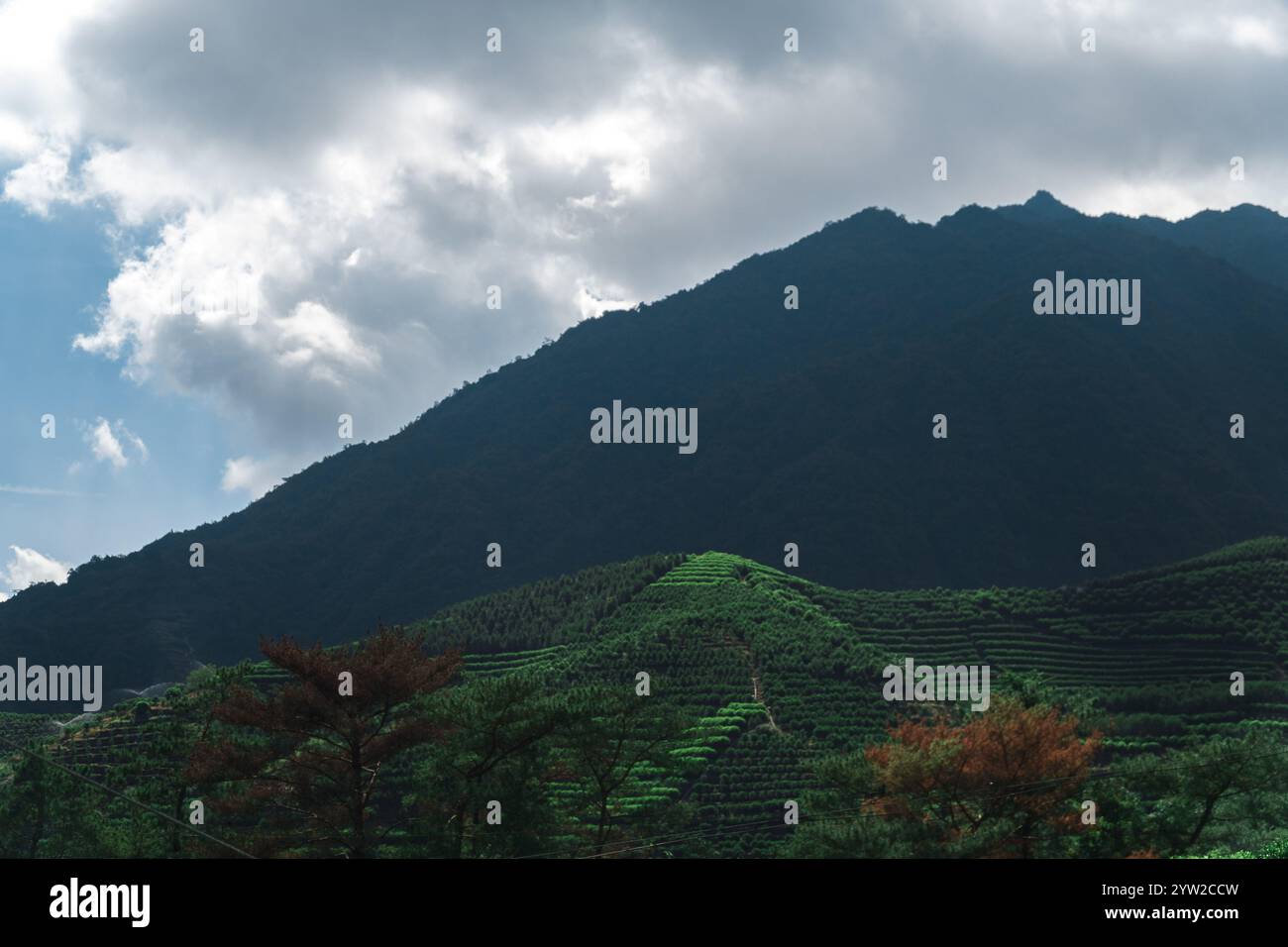La vista panoramica mozzafiato mette in mostra le vibranti montagne verdi elegantemente poste sotto un cielo spettacolare e nuvoloso Foto Stock