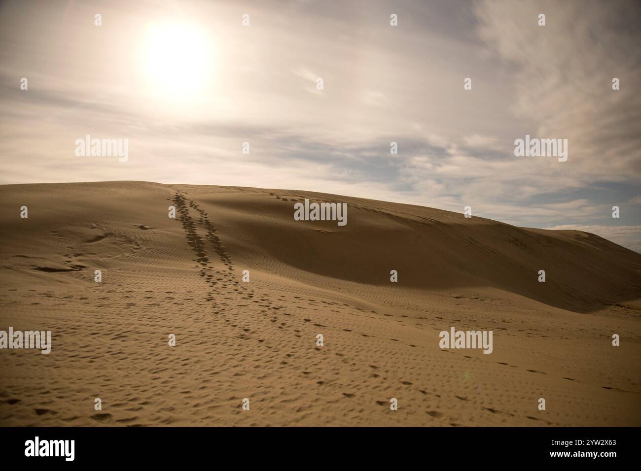 Sole dorato che proietta un caldo bagliore sulle dune di sabbia con una scia di impronte che conducono attraverso la cresta, le dune di sabbia di te Paki, Northland, nuova Zelanda Foto Stock