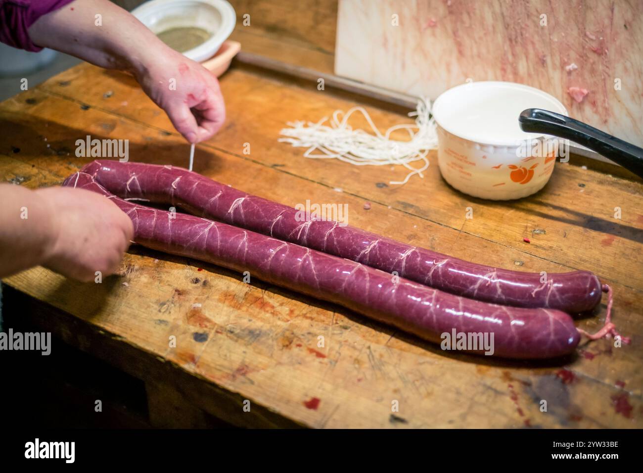 Macellazione tradizionale di maiali in un'azienda a conduzione familiare, la Creuse, Francia Foto Stock