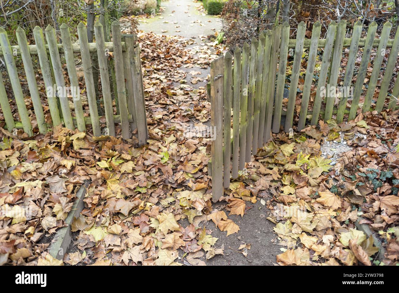 Recinzione con cancello in legno in un giardino Foto Stock