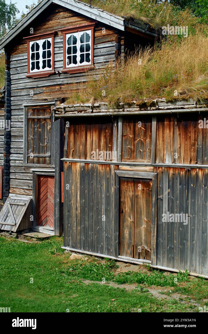 Casa rustica in legno con tetto in erba immersa nel verde di Trondheim, Norvegia Foto Stock