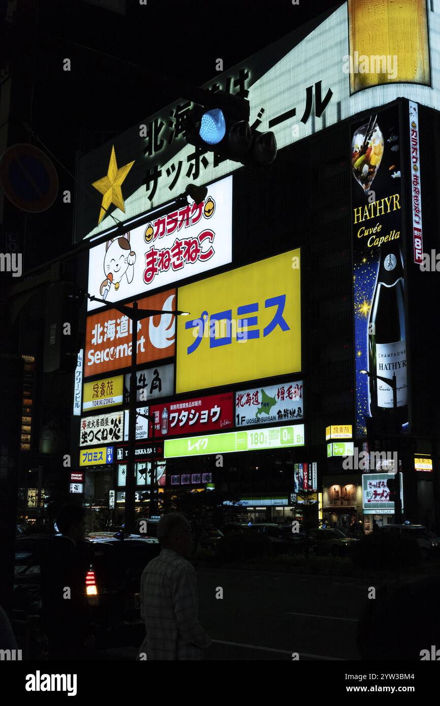 Cartelli illuminati di notte, pubblicità, Sapporo, Giappone, Asia Foto Stock