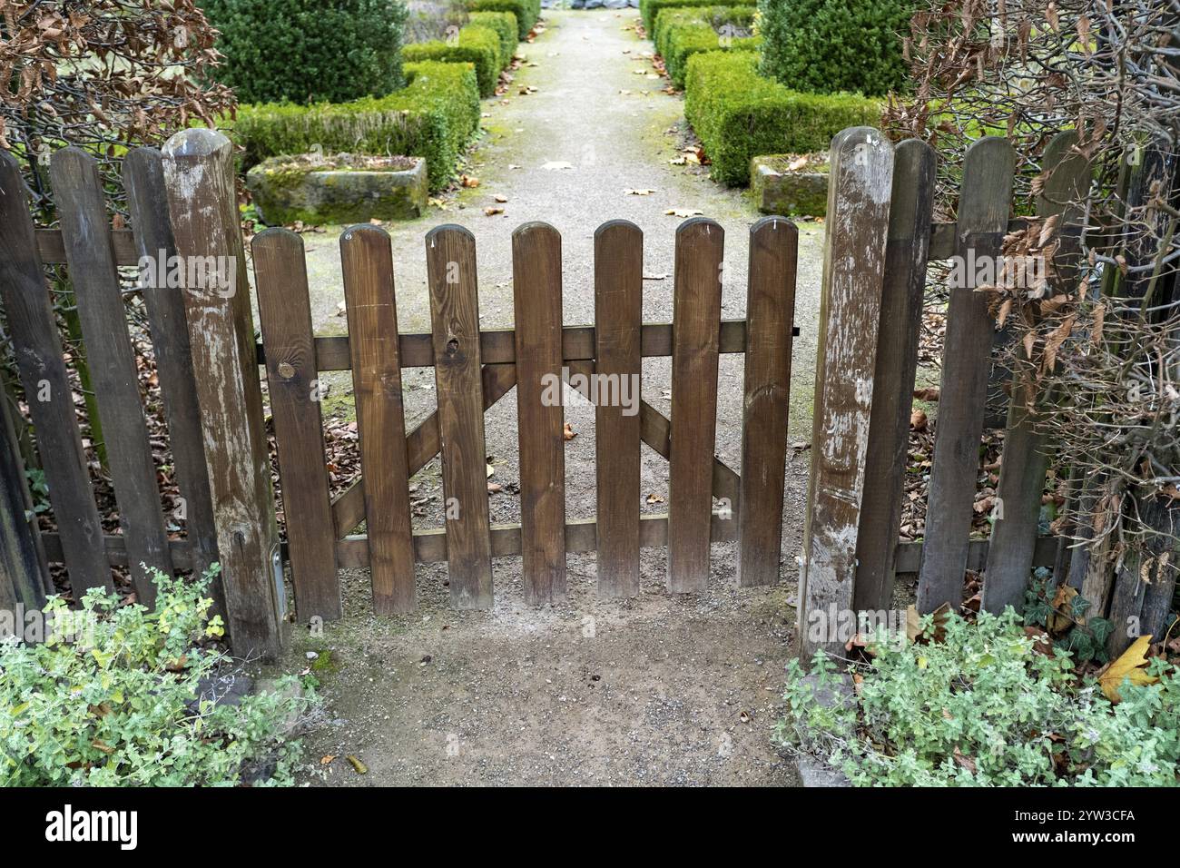 Recinzione con cancello in legno in un giardino Foto Stock