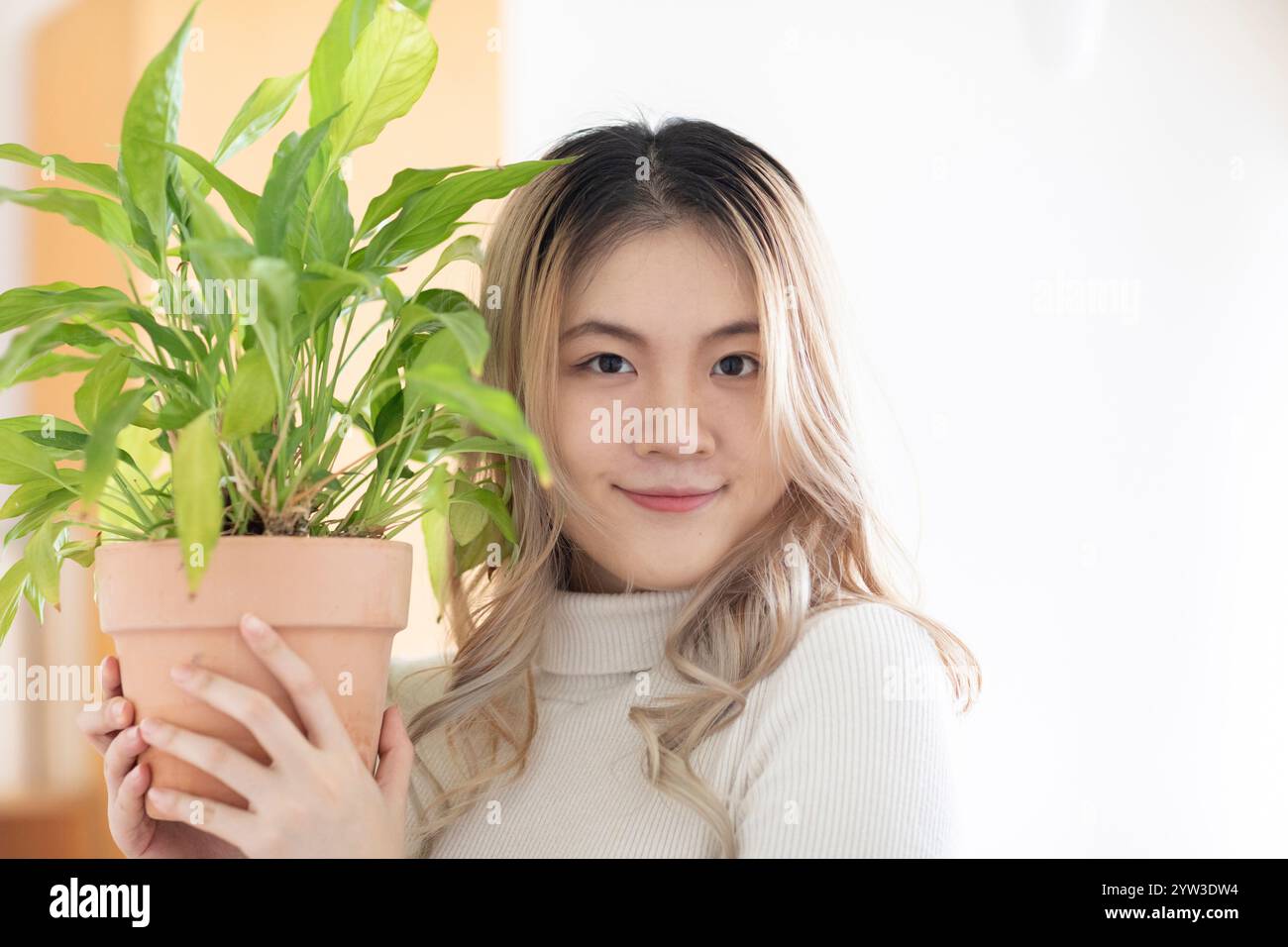 Giovane donna sorridente che tiene in mano una pianta in vaso all'interno con uno sfondo luminoso. Foto Stock