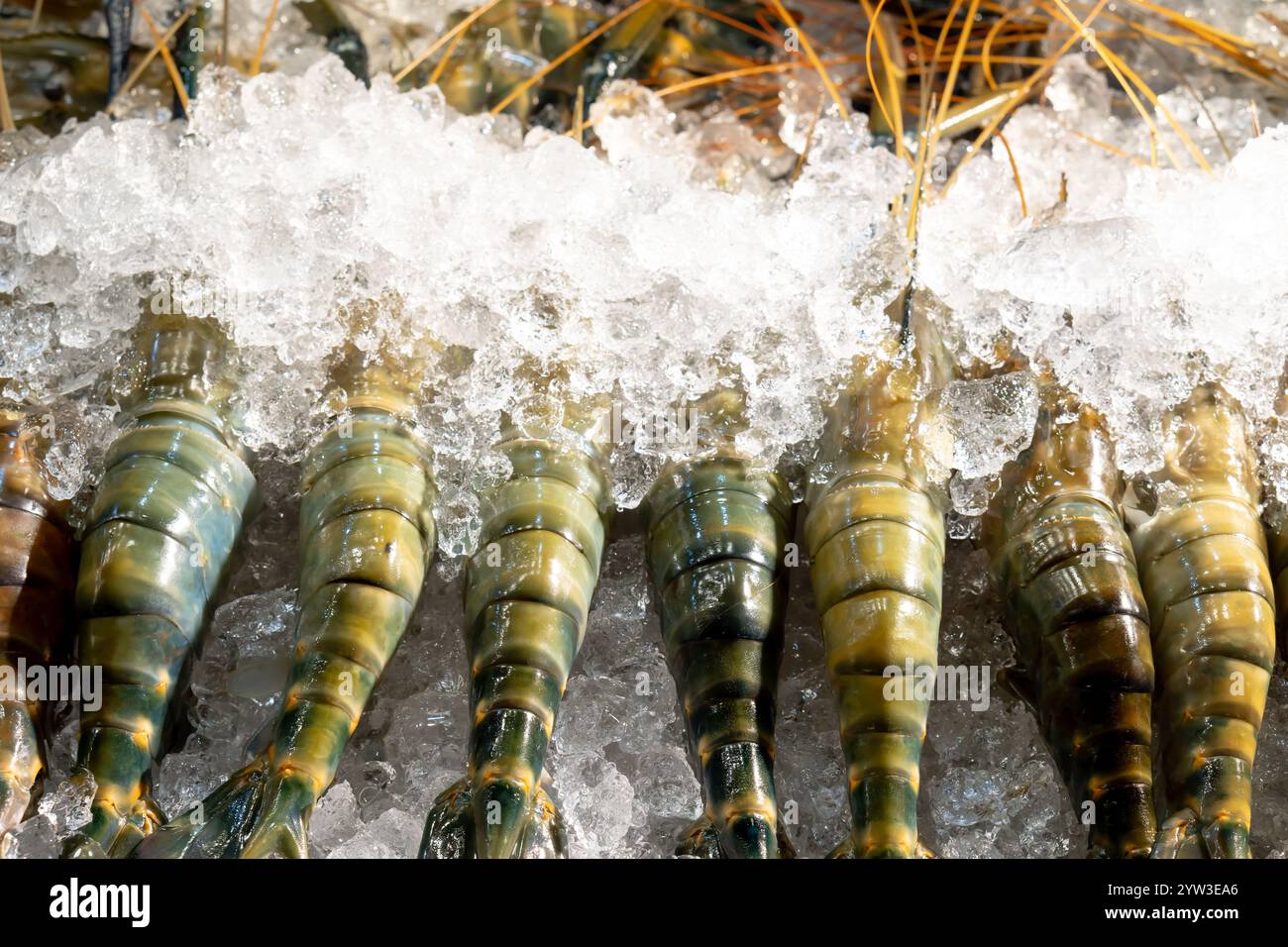 Gamberetti giganti freschi o aragoste in pile congelati in ghiaccio sono in vendita nella stalla del mercato tailandese Foto Stock