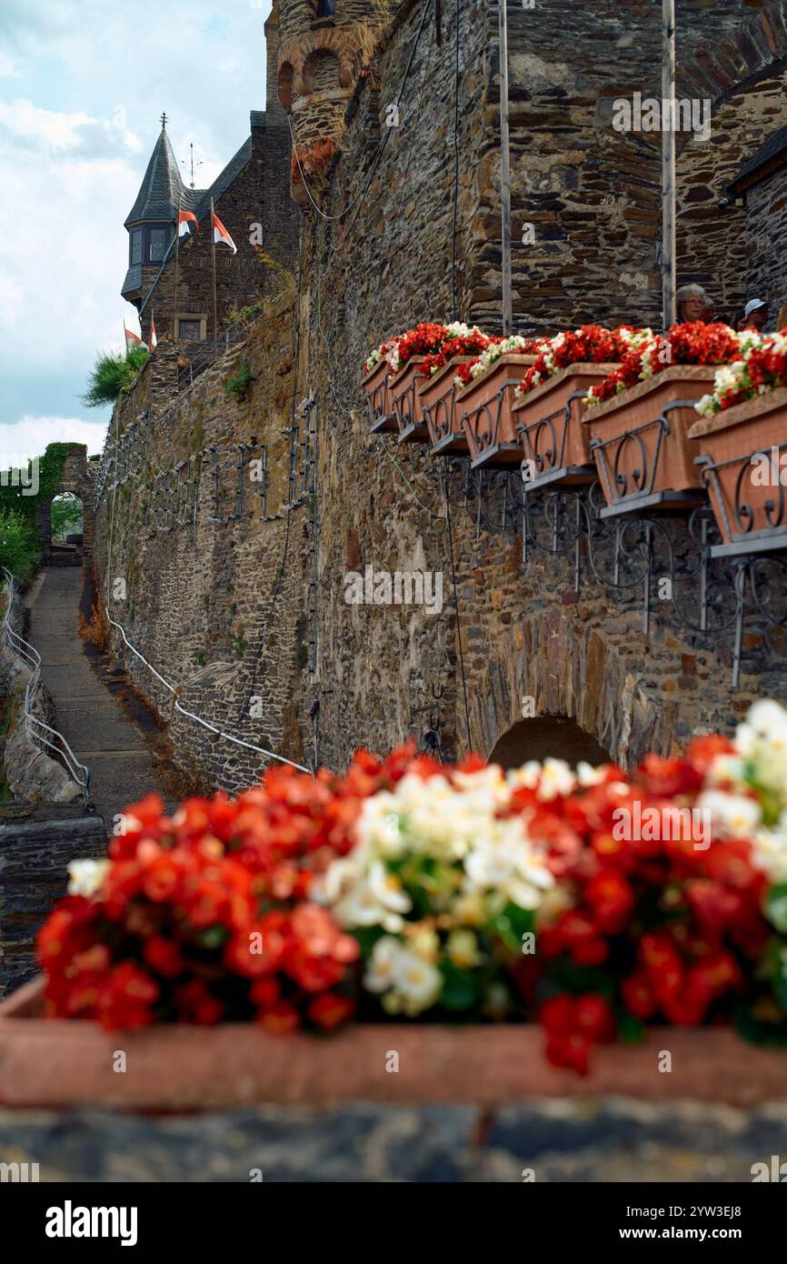 Fiori vivaci in primo piano con un pittoresco castello in pietra e una torre sullo sfondo sotto un cielo nuvoloso, il fiume Mosella, Germania Foto Stock