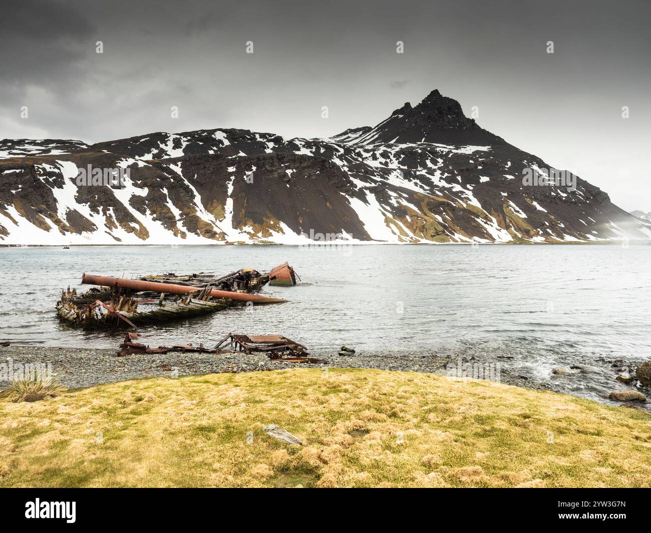 Relitto della barque di legno Louise a King Edward Cove con il monte Duse alle spalle, Grytviken, Georgia del Sud Foto Stock