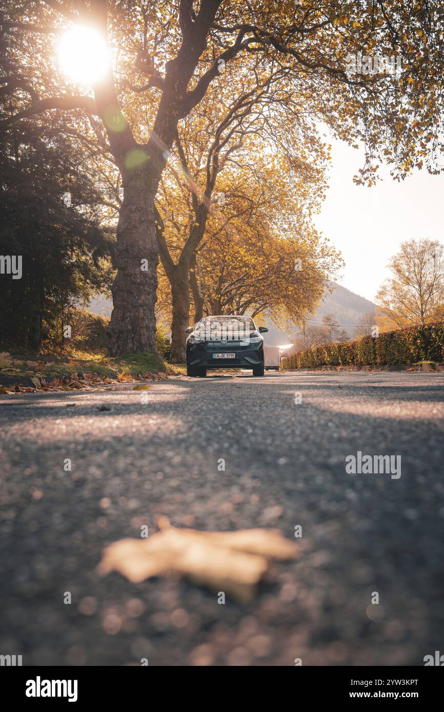 Strada soleggiata fiancheggiata da alberi in autunno, auto elettrica VW ID5, Deer Carsharing, Gechingen, Foresta Nera, Germania, Europa Foto Stock