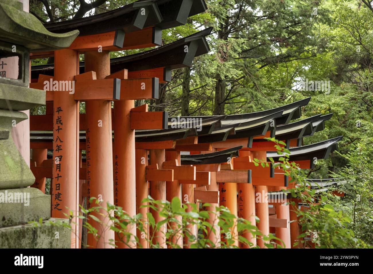 Torii, Fushimi Inari Taisha, Kyoto, Giappone, Asia Foto Stock