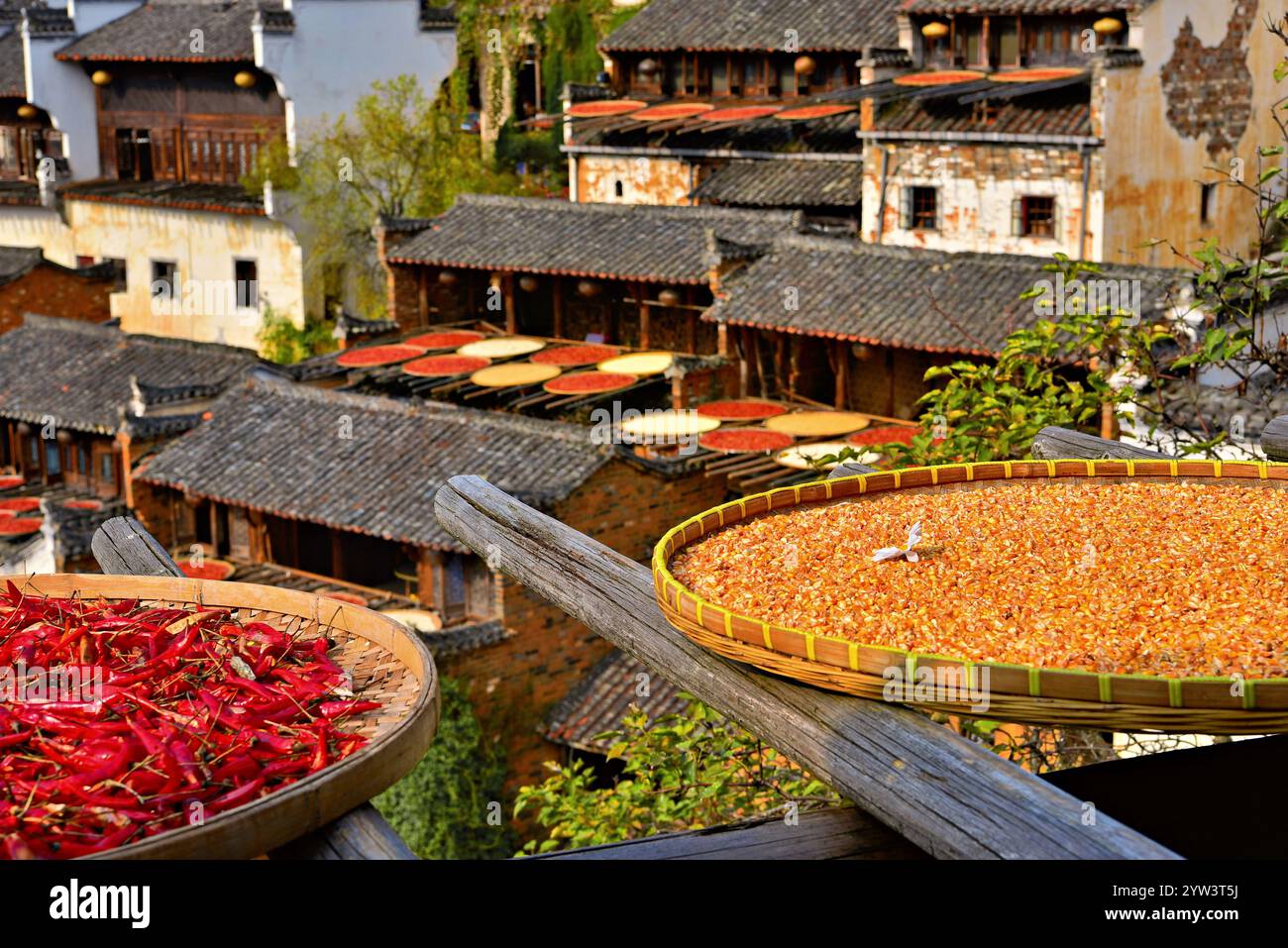 Peperoncini, granturco e altri prodotti essiccati al sole in autunno, Huangling Ancient Village, Wuyuan County, Shangrao City, Jiangxi Province, Cina. Foto Stock
