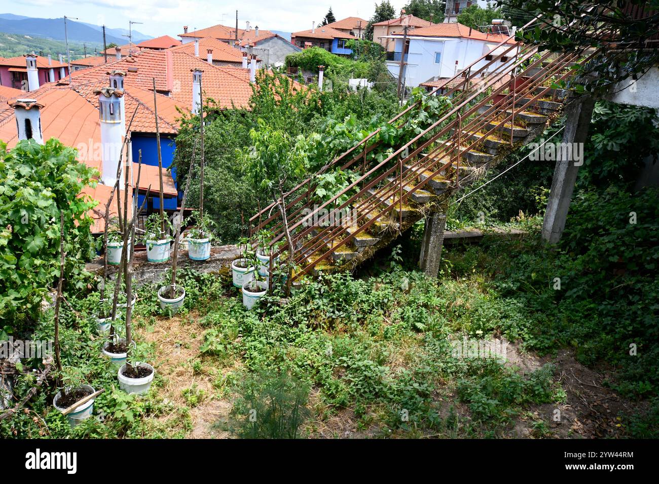 Arnea, Grecia - piccolo giardino dall'aspetto trascurato con vasi di piante, scale sovrastate con ringhiere in ferro nel villaggio di montagna di Halkidiki Foto Stock