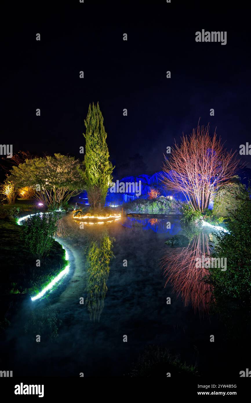 LIONE, 6 dicembre 2024: Fete des Lumieres nel Parc de la Tete d'Or. Il Festival rivela la bellezza di Lione al calar della notte ogni anno intorno all'8 dicembre. T Foto Stock