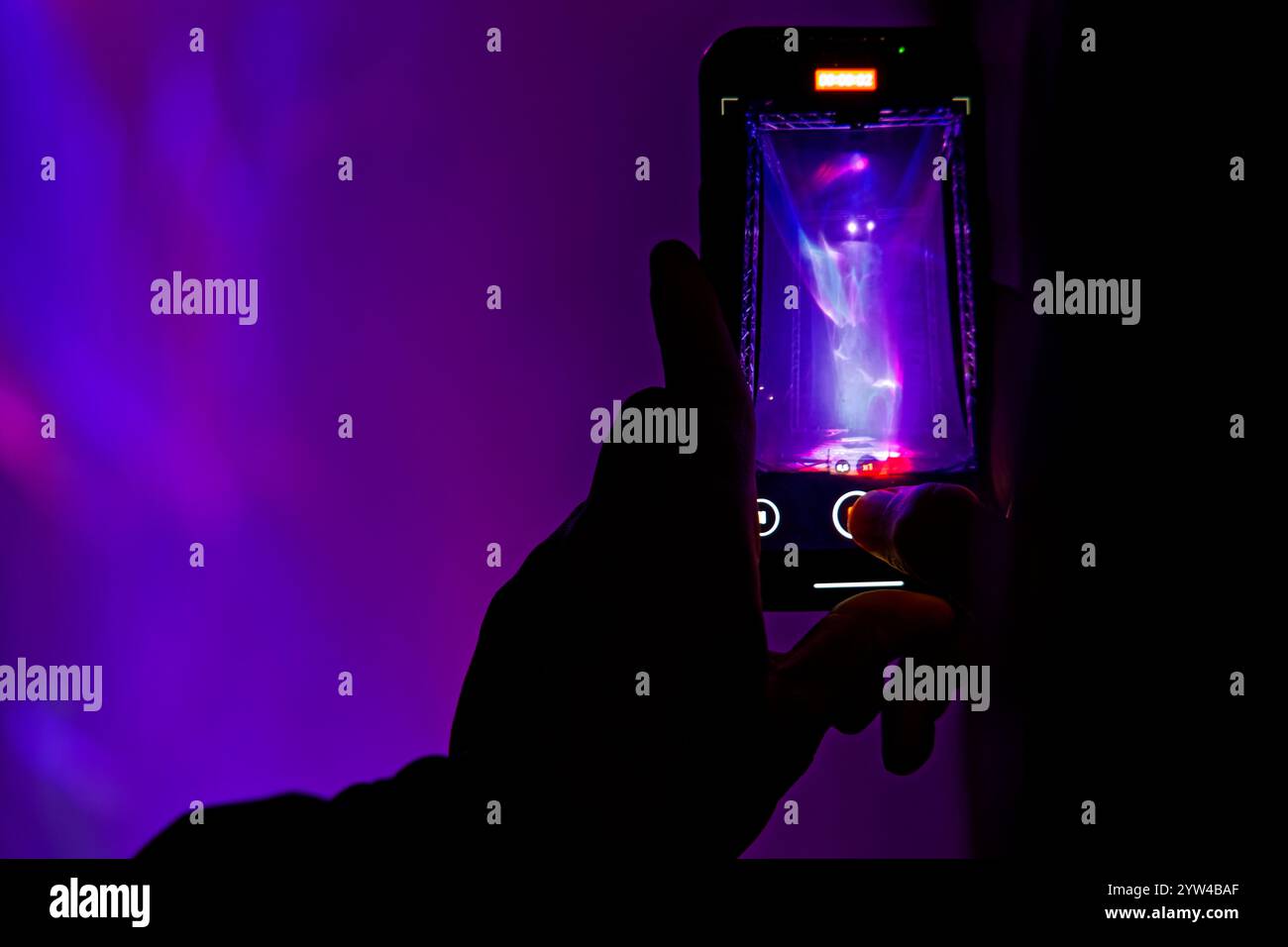 LIONE, 6 dicembre 2024: Fete des Lumieres nel Parc de la Tete d'Or. Il Festival rivela la bellezza di Lione al calar della notte ogni anno intorno all'8 dicembre. T Foto Stock