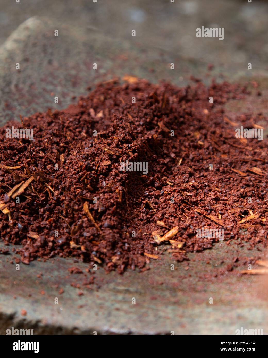 Una donna di Oaxaca in Messico produce manualmente cioccolato biologico su un metato, un antico strumento in pietra per macinare prodotti alimentari. Foto Stock