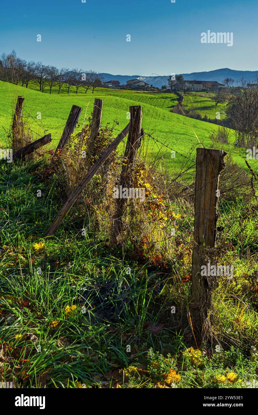 Recinzione di pali e filo spinato delimitano verdi colline e campi coltivati. Francia, Europa Foto Stock