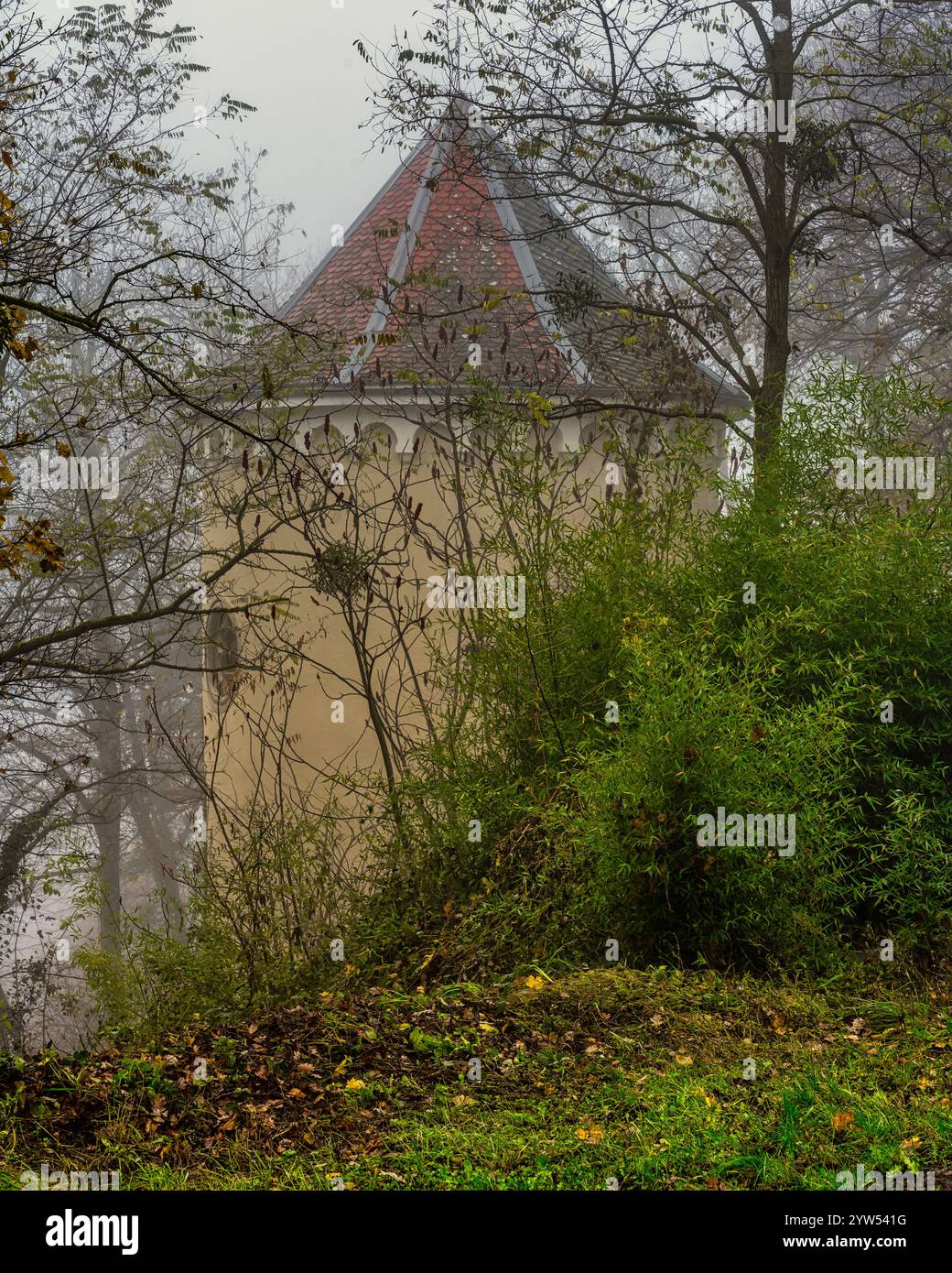 Le torri del castello di Blagneux possono essere viste attraverso le nebbie mattutine, un'immagine romantica. Blagneux, Chevrières, Francia, Europa Foto Stock