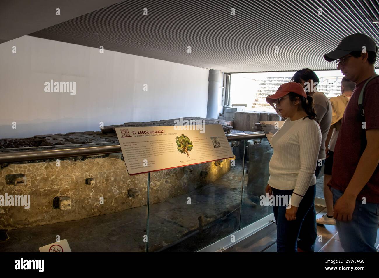 Città del Messico, Messico 12 novembre 2024: Turisti al Templo Mayor Museum di città del Messico. Foto Stock