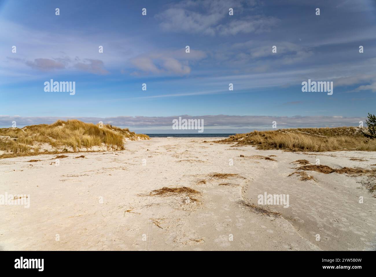 Der Ostsee Strand bei Prerow, Meclemburgo-Vorpommern, Deutschland | la spiaggia del baltico vicino a Prerow, Meclemburgo-Vorpommern, Germania Foto Stock