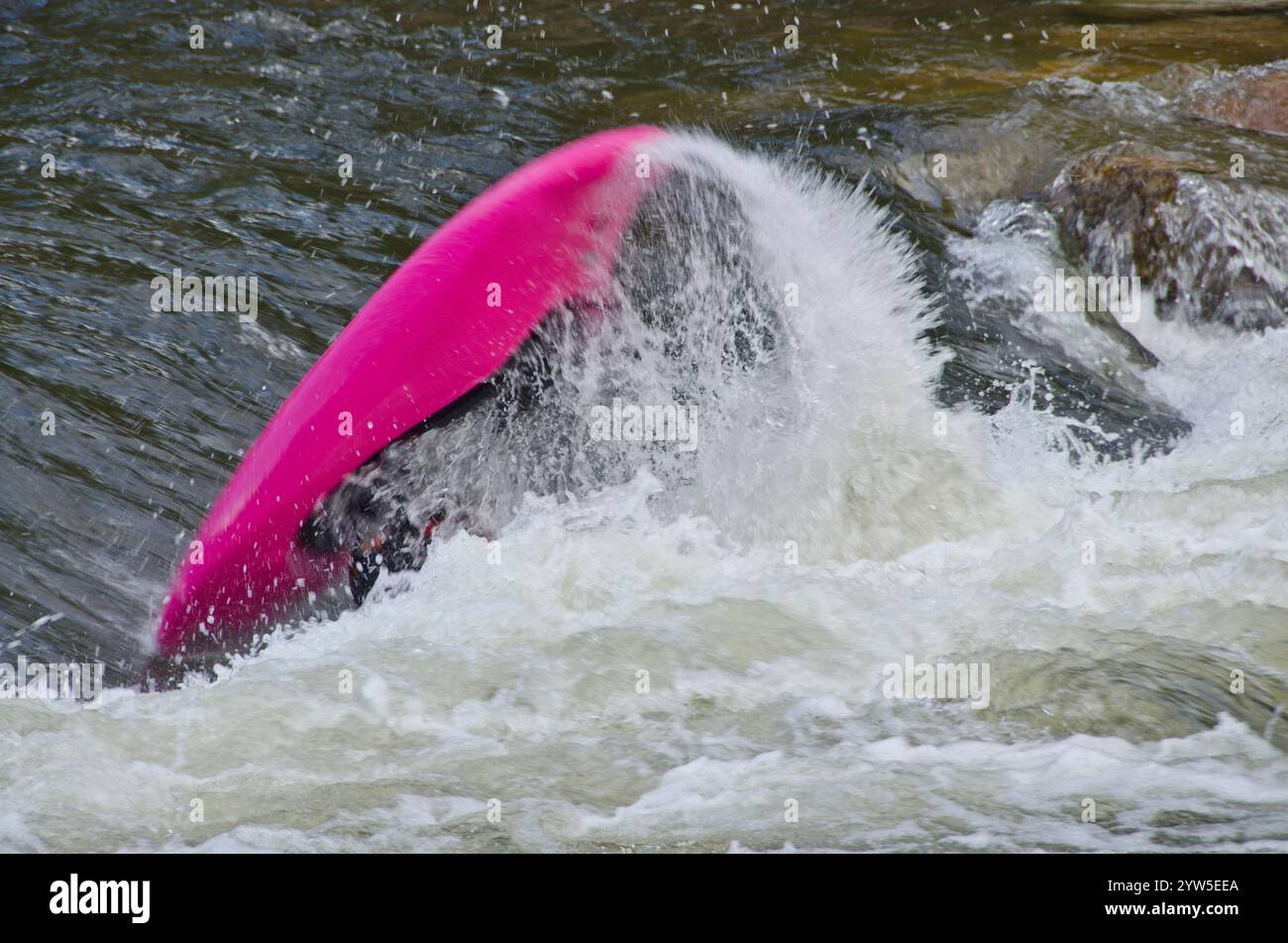 Un kayaker esegue una estremità frontale flip in un rapido whitewater in Arkansas River, invio di acqua battenti fuori l'estremità di coda della sua barca. Foto Stock