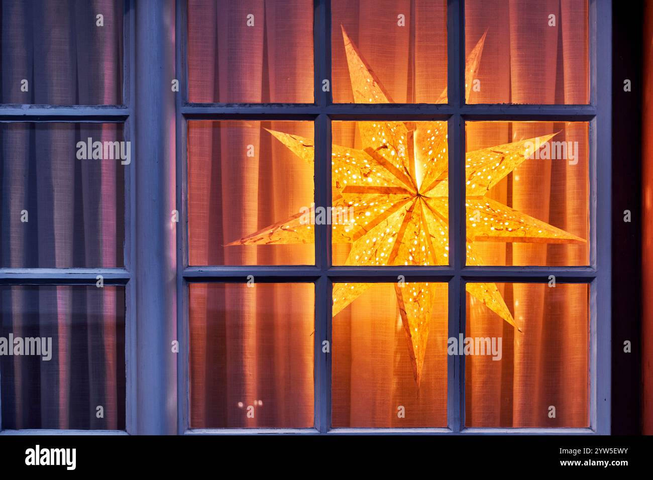 Poinsettia, finestra, decorazione, Avvento, Basilea, Baselstadt, accogliente, star, artigianato, caldo, decorazione delle finestre, finestra dell'Avvento, Natale, stagione dell'Avvento Foto Stock