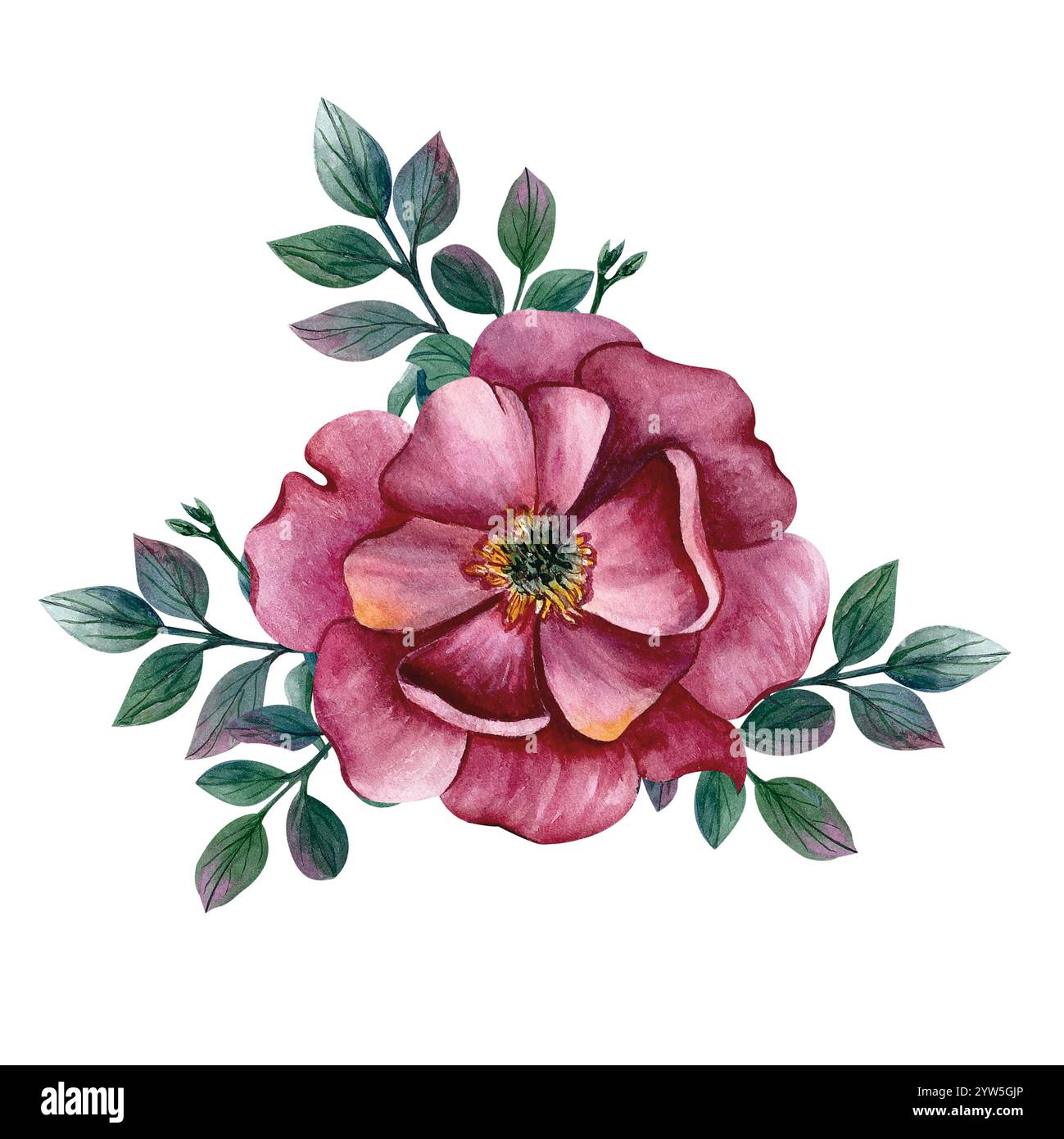 Peonia rosa in fiore con foglie. Illustrazione acquerello su sfondo isolato. Fiore disegnato a mano per cartoline e inviti al B-Day, internazionale Foto Stock