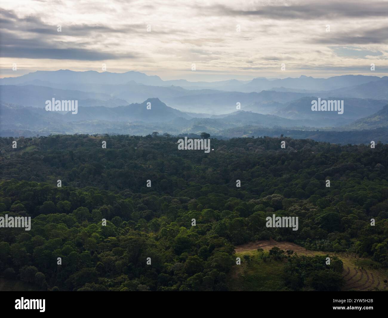 Lussureggianti montagne verdi si estendono all'orizzonte, illuminate dalla luce soffusa del crepuscolo, creando una tranquilla atmosfera rurale. Foto Stock