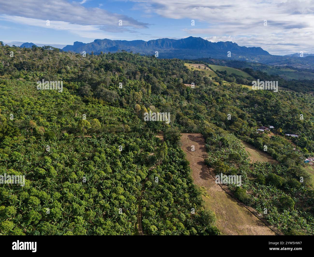 Verde paesaggio naturale nelle penas blancas di Macizo in Nicaragua vista aerea con drone Foto Stock