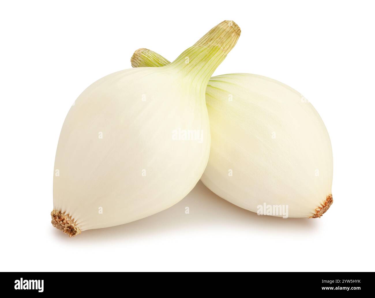 sentiero bianco della cipolla isolato sul bianco Foto Stock