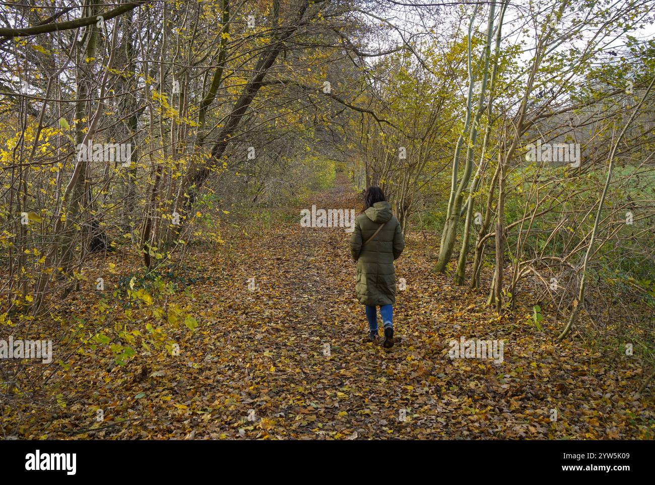 La donna cammina da sola. Percorso attraverso la foresta autunnale. Foto Stock