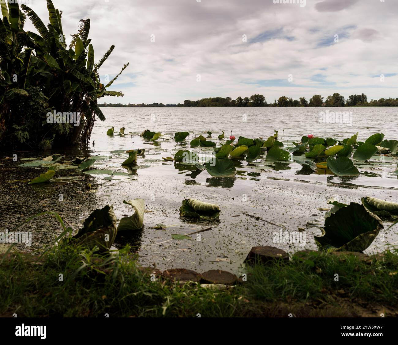 Tramonto nuvoloso sul fiume Mincio a Mantova Foto Stock