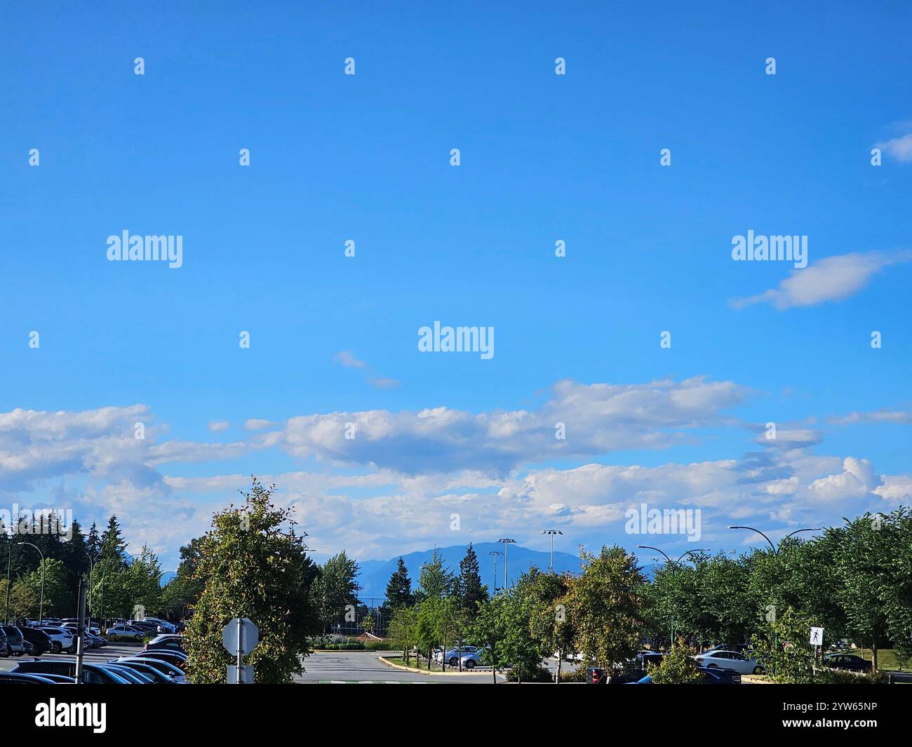 La natura incontra la convenienza. Un tranquillo parcheggio con splendide viste sulle montagne, circondato da alberi e baciato da cielo nuvoloso. - Immagine stock catturata con smartphone