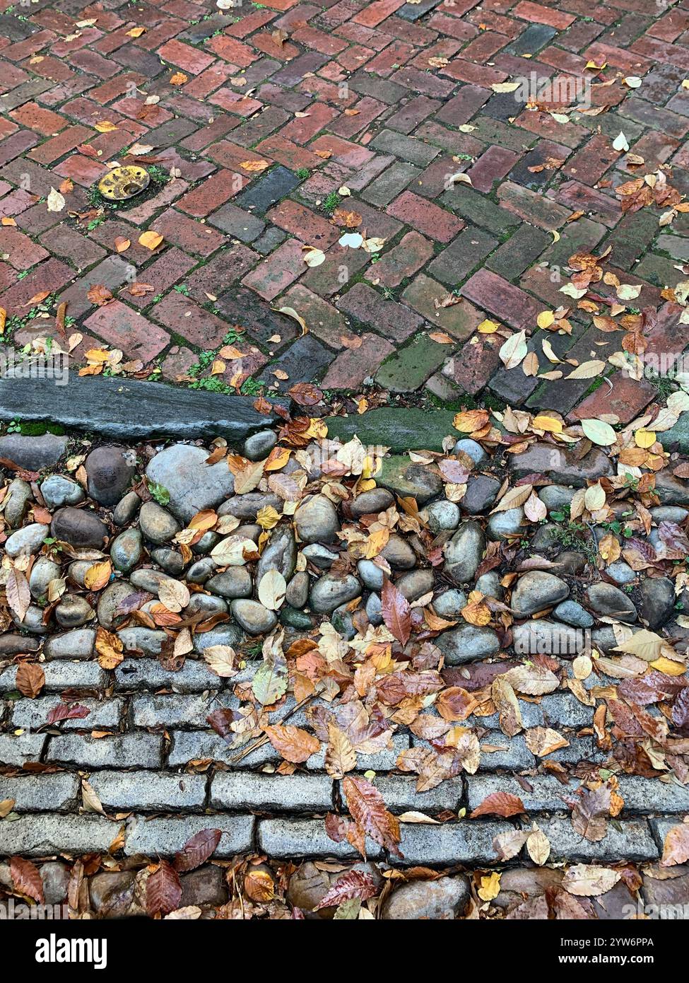 Cobblestone Road Surface Dating dal 1790s incontra Brick Sidewalk, Prince Street, Alexandria, Virginia, USA. Foto Stock