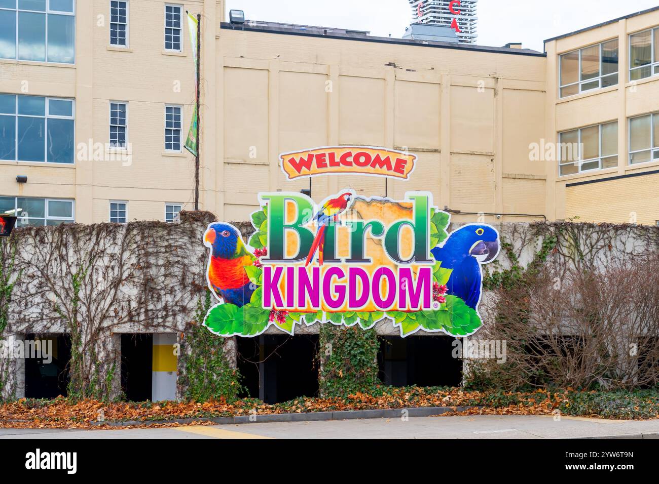 Bird Kingdom a Niagara Falls, ONTARIO, Canada, il 9 dicembre 2023. Bird Kingdom è una voliera volante al coperto nel distretto turistico delle cascate del Niagara. Foto Stock