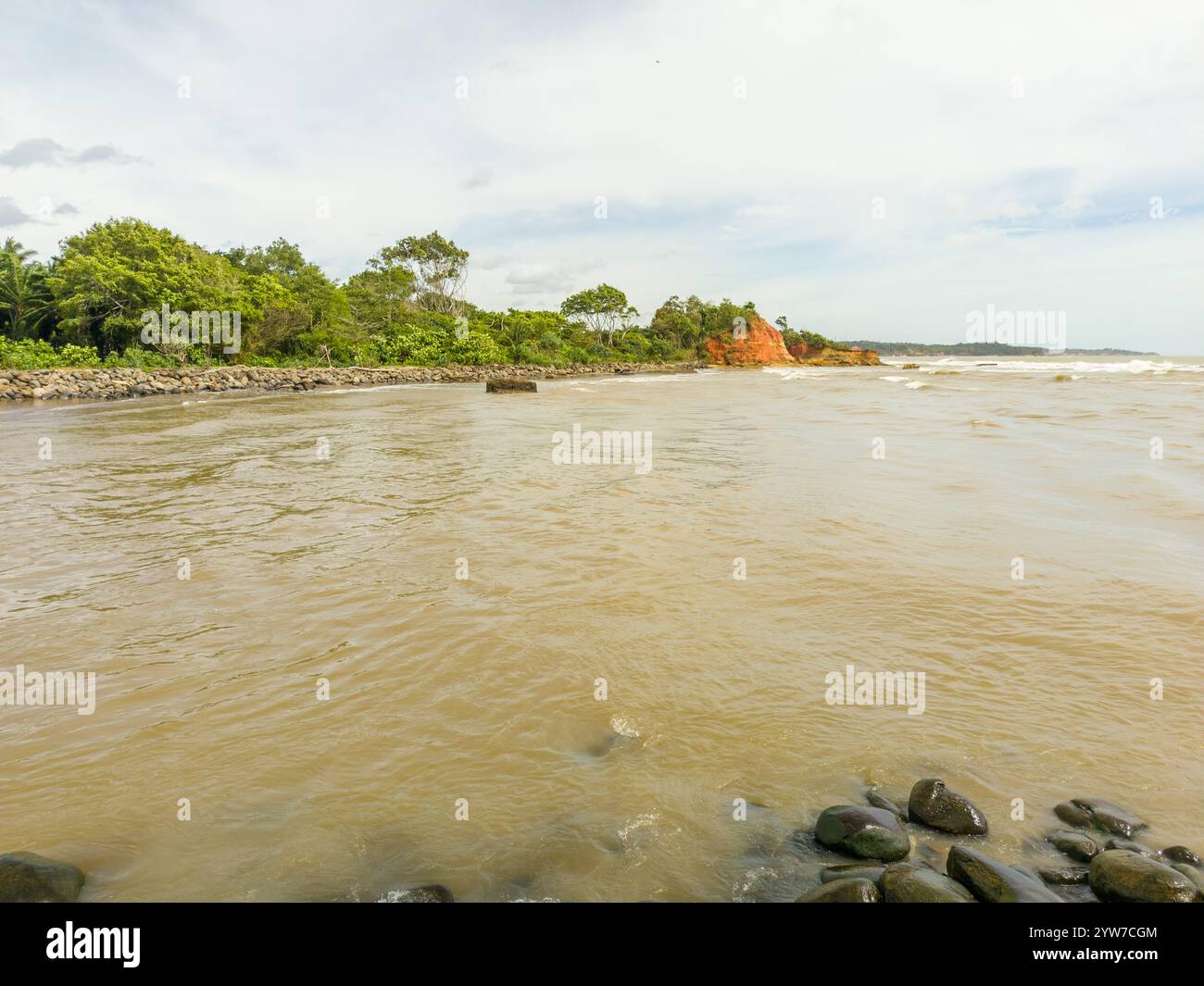 Paesaggio di bellezza indonesiana risaie nel nord di bengkulu, splendida vista naturale mattutina dall'Indonesia delle montagne e della foresta tropicale Foto Stock