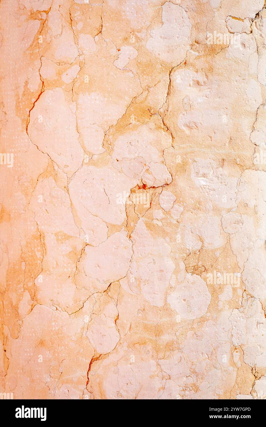 Immagine ravvicinata di una colonna di marmo rosa che mostra i dettagli Foto Stock