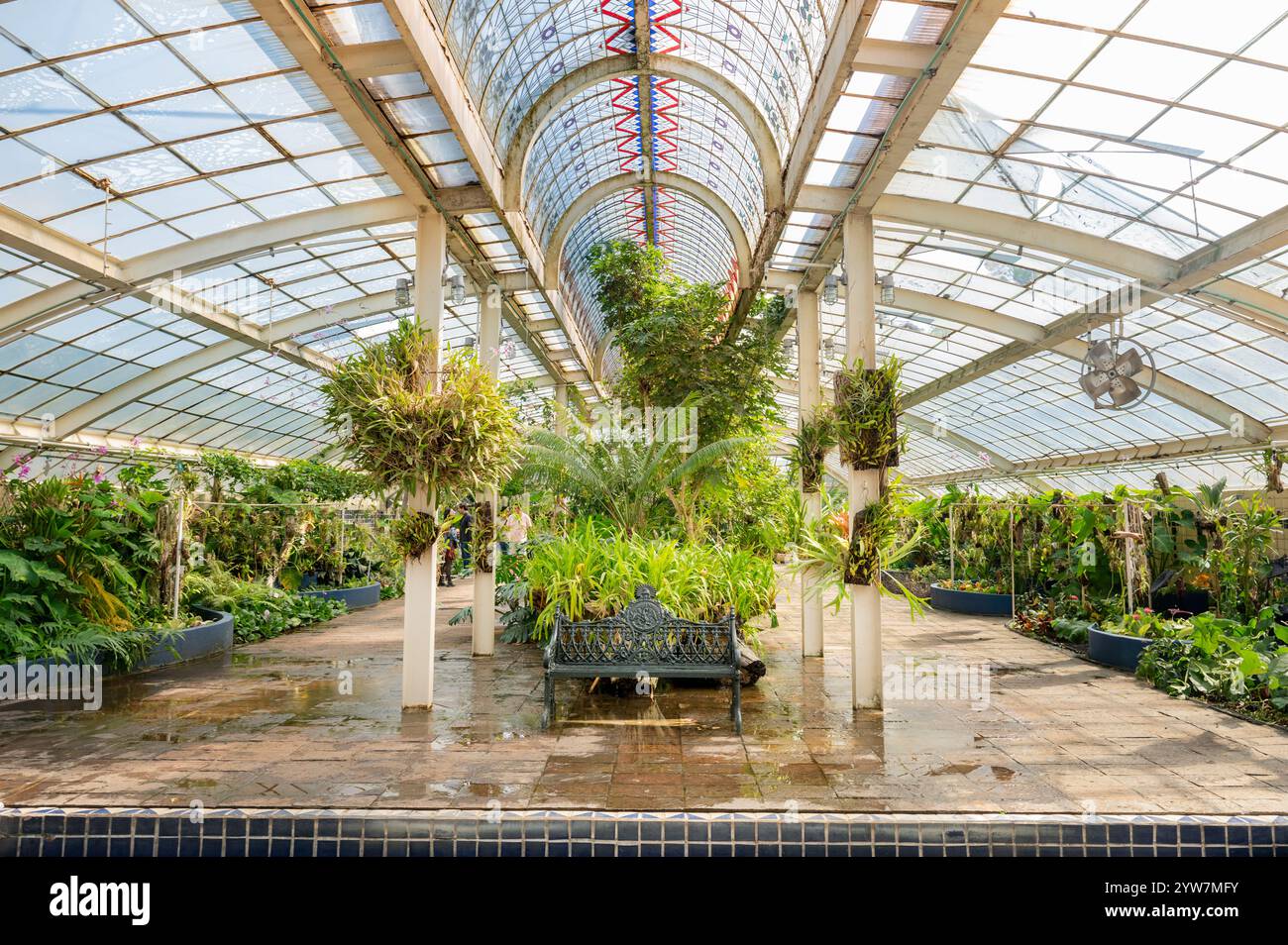 Giardini botanici di città del Messico Chapultepec Foto Stock